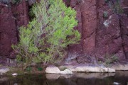 East Verde, Mazatzal Wilderness, Arizona