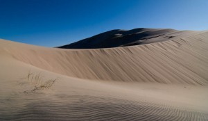 Mojave National Monumen, California