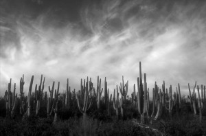 Mazatzal Wilderness, Arizona