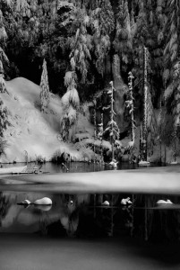 June Lake, Mt. St. Helens, Washington