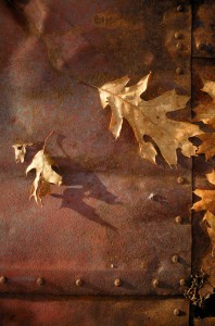 Rusted Leaves