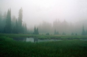 Indian Heaven, Washington