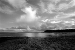 Willapa Bay, Washington